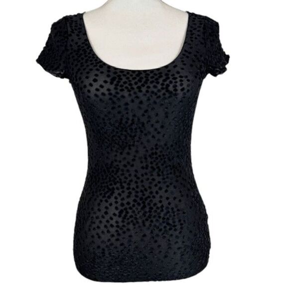 Armani Collezioni Velour Dot Textured Sheer Black T-shirt Baby Tee Fitted Size 4 - Picture 1 of 10